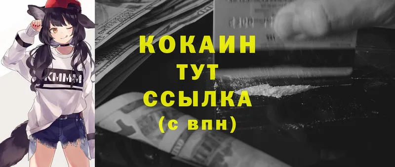 Cocaine VHQ  MEGA как войти  Дубовка  где можно купить наркотик 